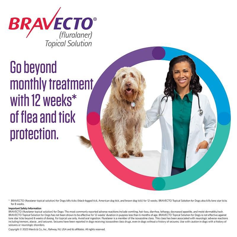 Bravecto Topical Solution for Dogs, 9.9 - 22 lbs 250 mg Orange