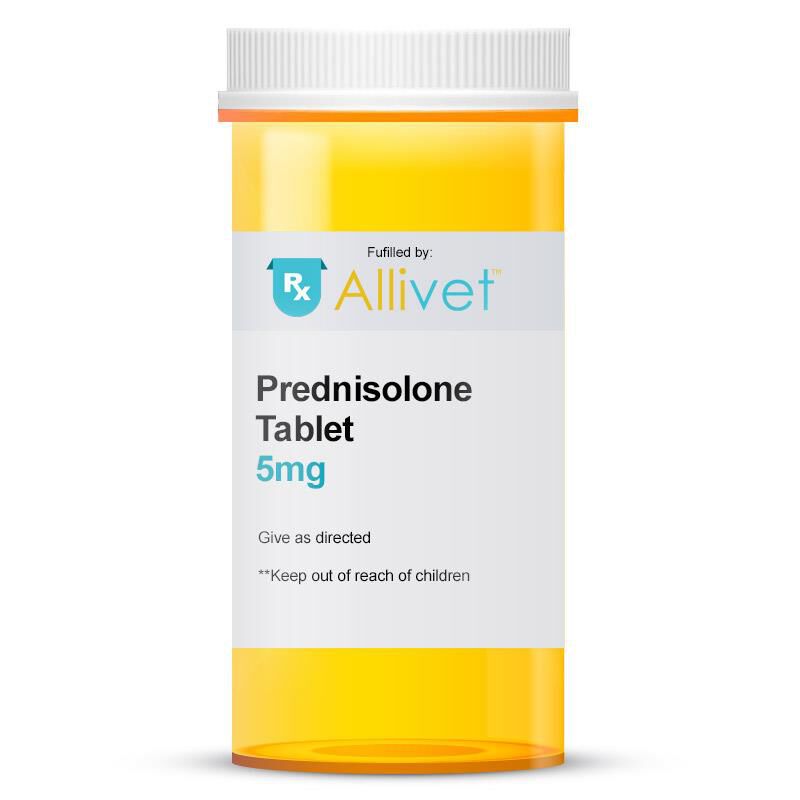 Order prednisolone online
