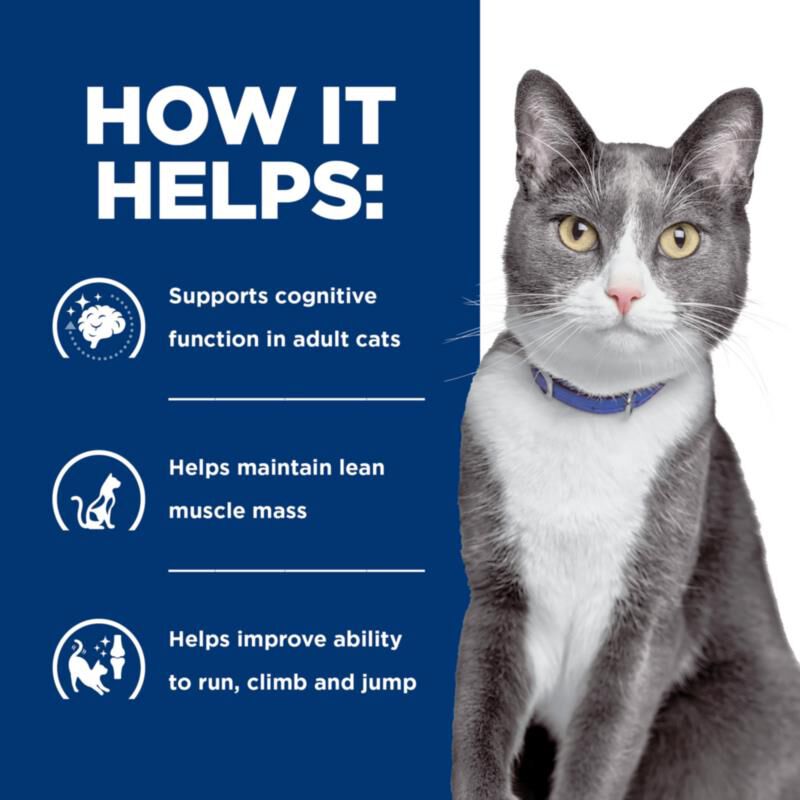 Hill's Prescription Diet Brain Care + j/d Joint Care Feline Dry Cat Food with Salmon, 4 lb bag