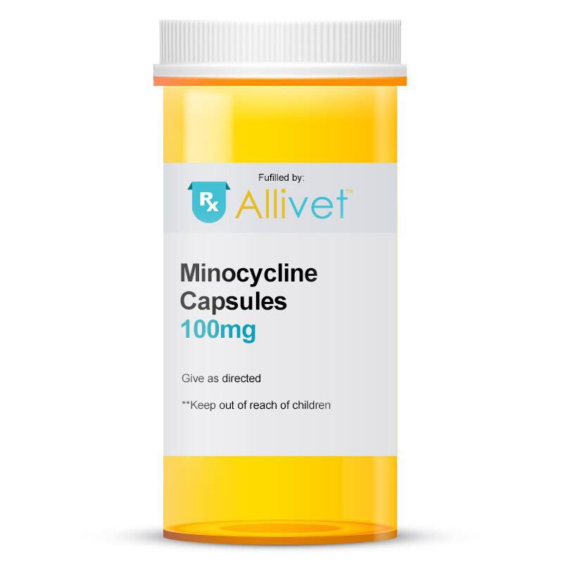 Minomycin buy