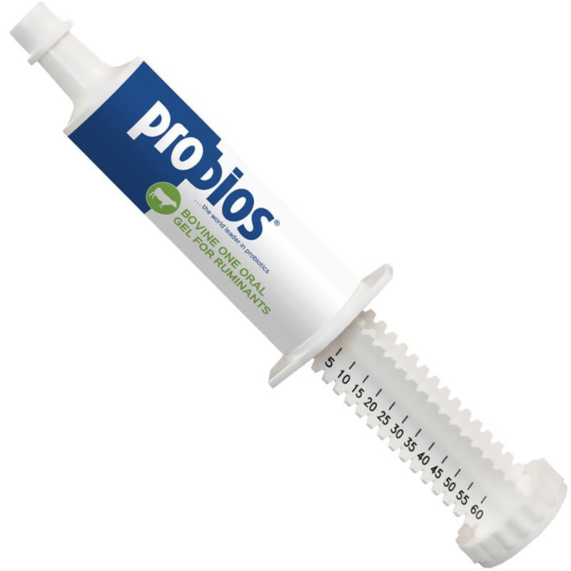 Probios Bovine One 60 gm
