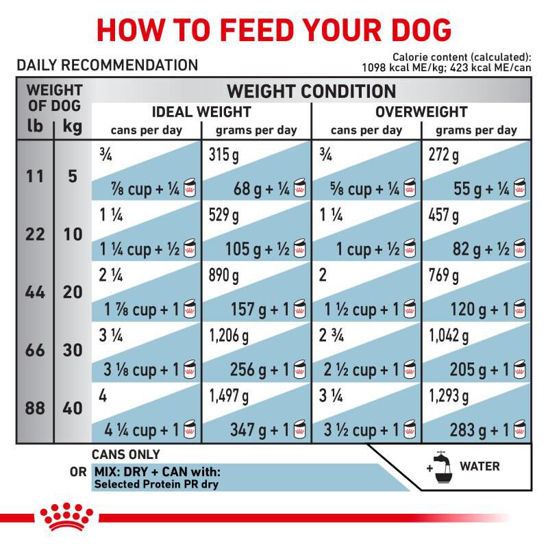Royal Canin Veterinary Diet Selected Protein Potato & Rabbit Adult Canned Dog Food, 24 x 13.5 oz cans