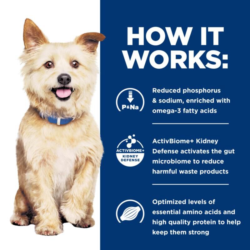 Hill's Prescription Diet k/d Kidney Care with Chicken Wet Dog Food, 12 x 13 oz cans