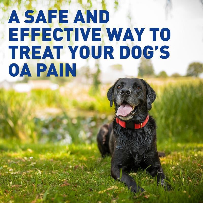 Deramaxx Chewable Tablets for Dogs 75 mg, 30 Ct.