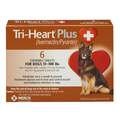 Tri-Heart Plus Chewable Tablets for Dogs 51-100 lbs Brown, 6 Month Supply