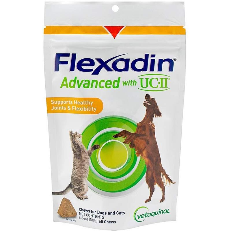 Buy Flexidine Plus Chews for Dogs & Cats - Supplements | Allivet