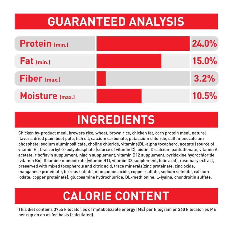 Royal Canin Size Health Nutrition Large Adult Dry Dog Food