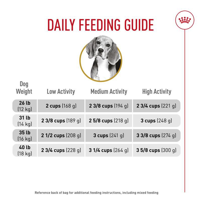 Royal Canin Breed Health Nutrition Beagle Adult Dry Dog Food, 6 lb bag