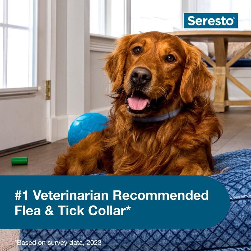 Seresto Flea and Tick Prevention Collar for Large Dogs, 8 month flea and tick prevention