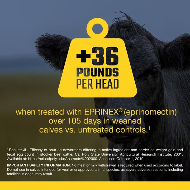 Eprinex Pour-On 1 Litre