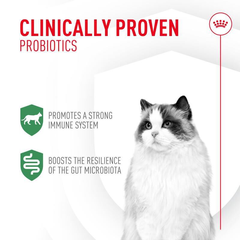 Royal Canin Probiotics Digestive & Immune Health Powder Supplement for Cats, 1 gm packets