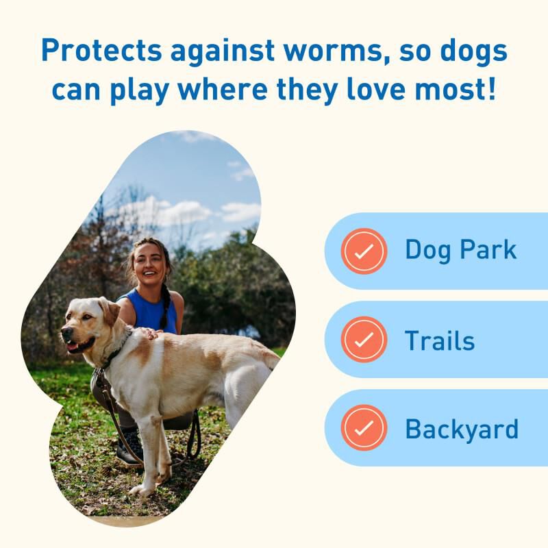 Interceptor Plus Chewable Tablets for Dogs 50.1-100 lbs Blue, 3 Month Supply