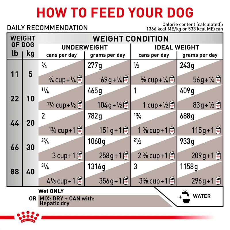 Royal Canin Veterinary Diet Adult Hepatic Loaf Canned Dog Food, 24 x 13.7 oz cans