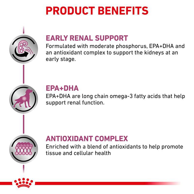 Royal Canin Veterinary Diet Adult Renal Support Early Consult Loaf in Sauce Canned Dog Food, 24 x 5.2 oz cans