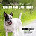 Dasuquin Large Dogs 84 Ct.