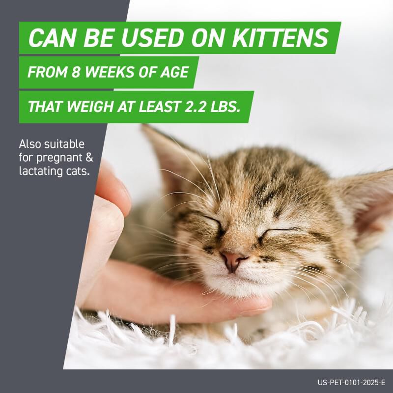 Frontline Plus for Cats 6 Month Supply