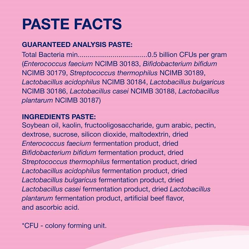 ProviableKP Paste For Dogs & Cats Probiotics Allivet