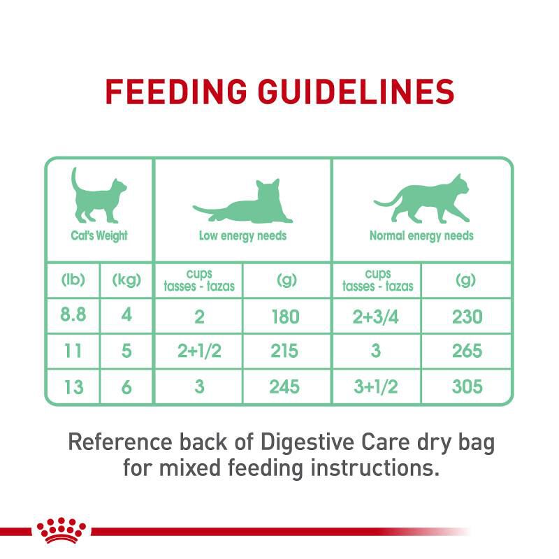 Royal Canin Feline Care Nutrition Adult Digestive Care Loaf in Sauce Canned Cat Food, Case of 24