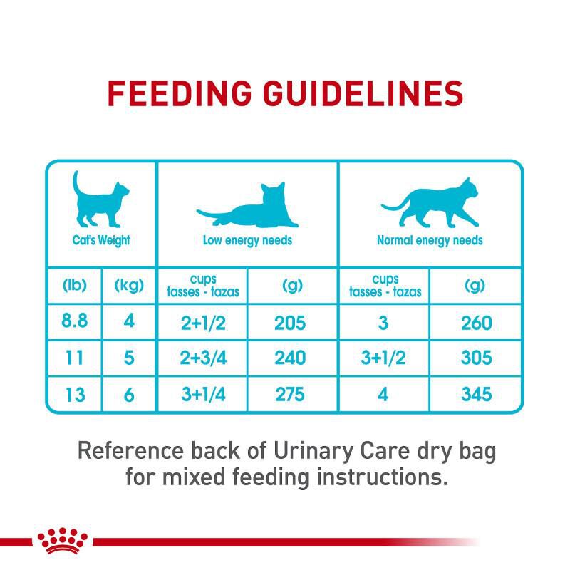 Royal Canin Feline Care Nutrition Urinary Care Adult Thin Slices in Gravy Canned Cat Food, 24 x 5.1 oz cans