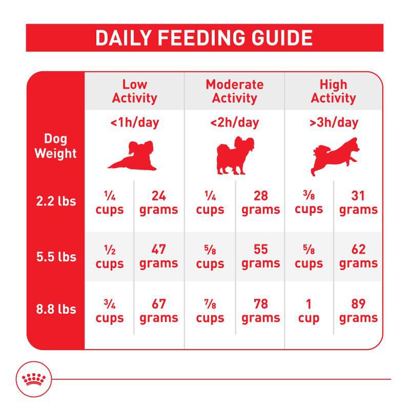 Royal Canin Size Health Nutrition X-Small Aging 12+ Dry Dog Food 2.5 lb bag