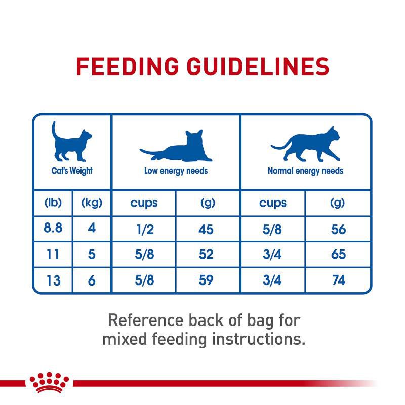 Royal Canin Feline Health Nutrition Adult Dry Indoor Cat Food, 3 lb Bag