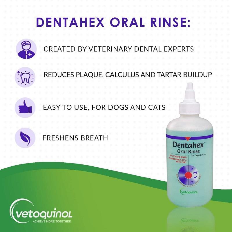 Vetoquinol Dentahex Oral Rinse .012 8 Oz for Dogs & Cats Allivet
