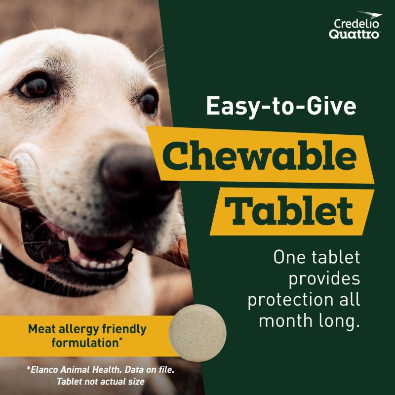 Credelio Quattro Flavored Chewable Tablet for Dogs & Puppies 50.1 - 100 lbs Blue 6 Month Supply