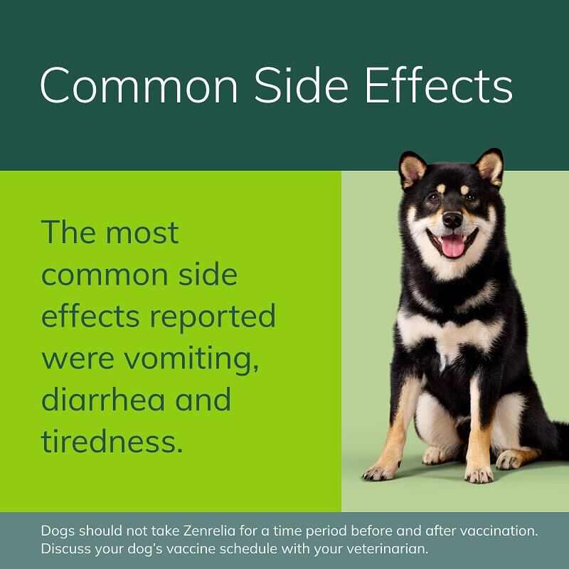 Zenrelia (ilunocitinib) Tablets for Dogs, 15 mg 90 ct
