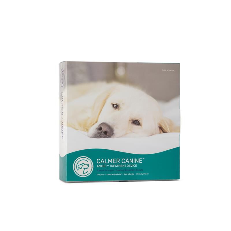 canine anxiety treatment