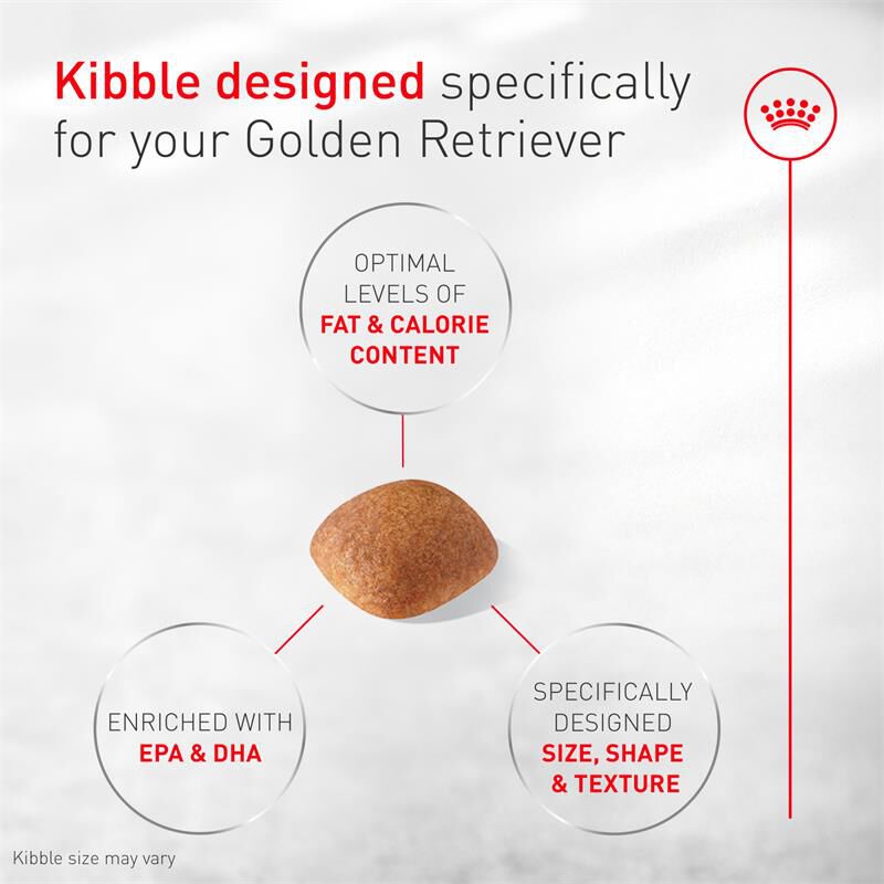Royal Canin Breed Health Nutrition Golden Retriever Adult Dry Dog Food