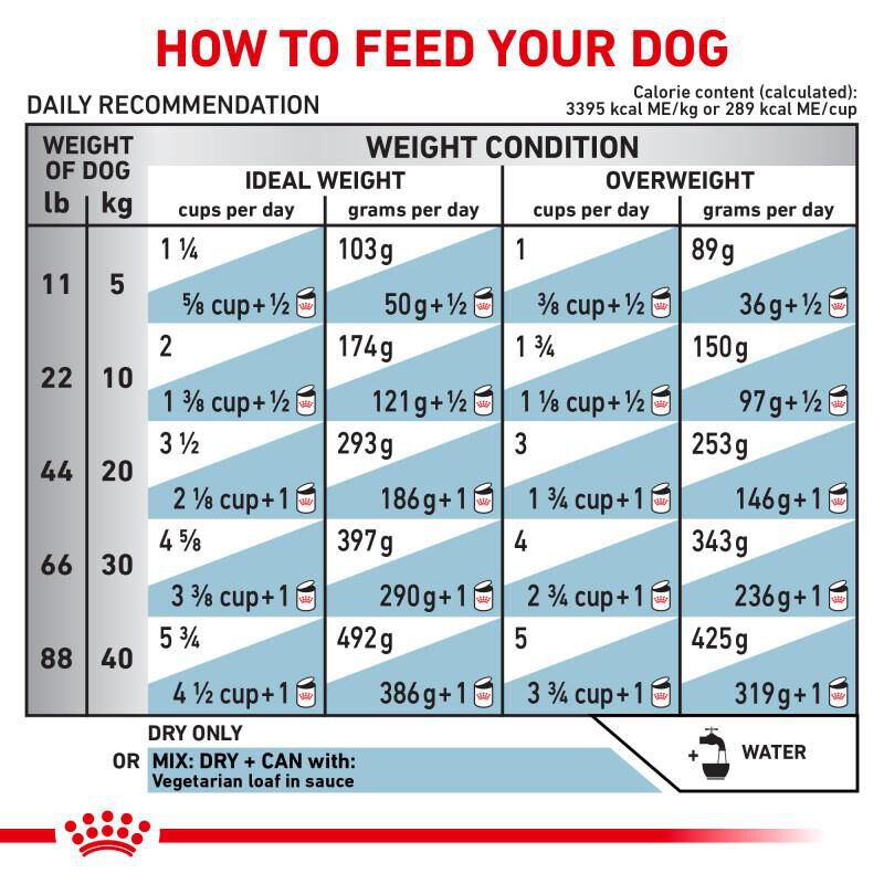 Royal Canin Veterinary Diet Adult Vegetarian Dry Dog Food, 17.6 lb bag