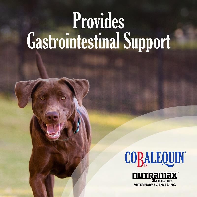 Cobalequin Supplement for Medium and Large Dogs (22 lbs and Over), 45 Chewable Tablets