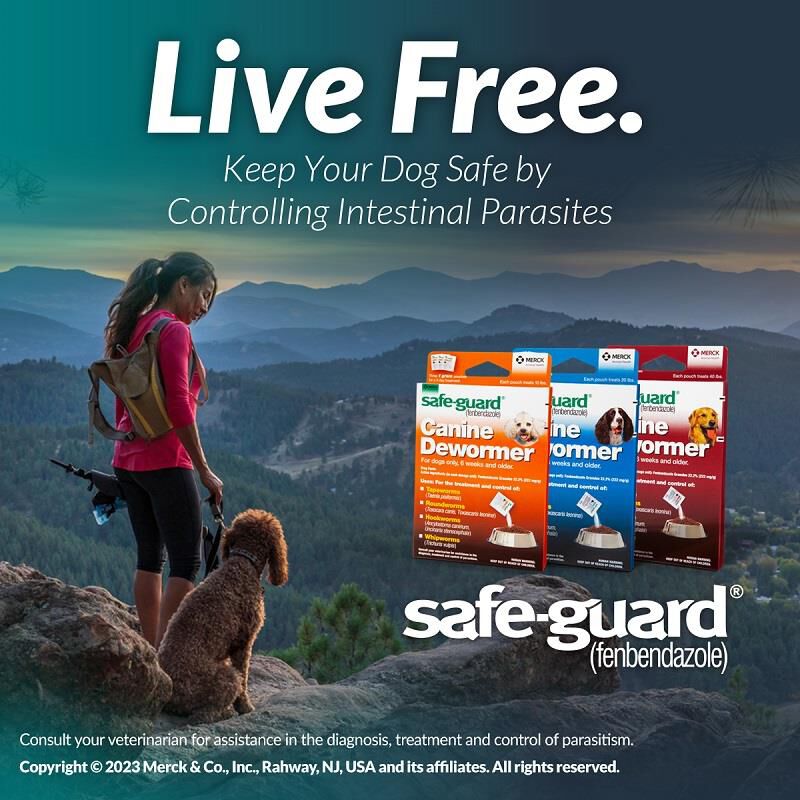 Safe-Guard Canine Dewormer 3x1 gm