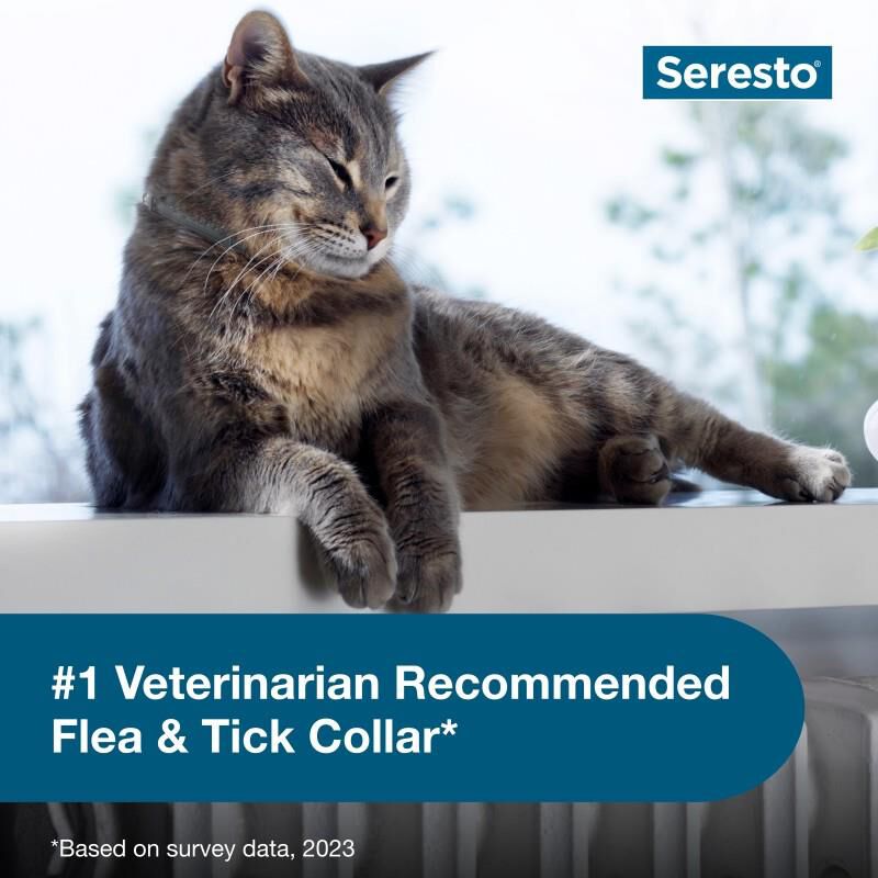 Seresto for Cats with Fleas and Ticks (2 collars)