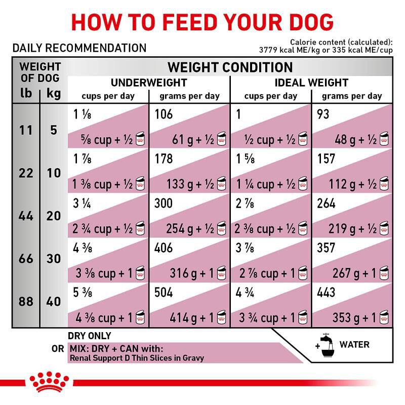Royal Canin Veterinary Diet Adult Renal Support F Dry Dog Food