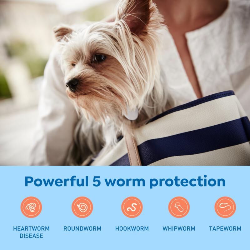 Interceptor Plus Chewable Tablets for Dogs 2-8 lbs Orange, 1 Month Supply