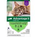 Advantage II Flea Prevention for Large Cats, 6 Monthly Treatments