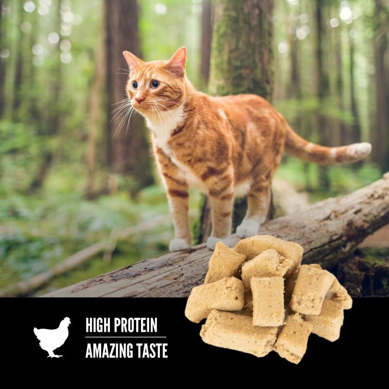 Orijen Original Freeze-Dried Cat Treats, 1.25 oz