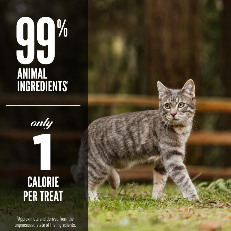 Orijen Six Fish Freeze-Dried Cat Treats, 1.25 oz