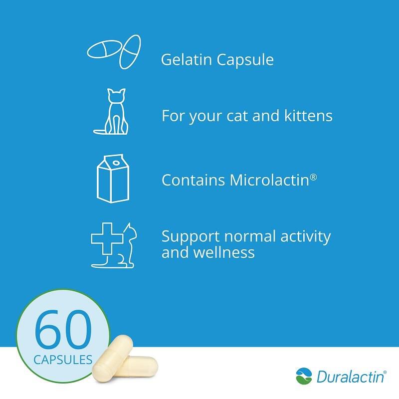 Order Duralactin feline Duralactin capsules for your cats