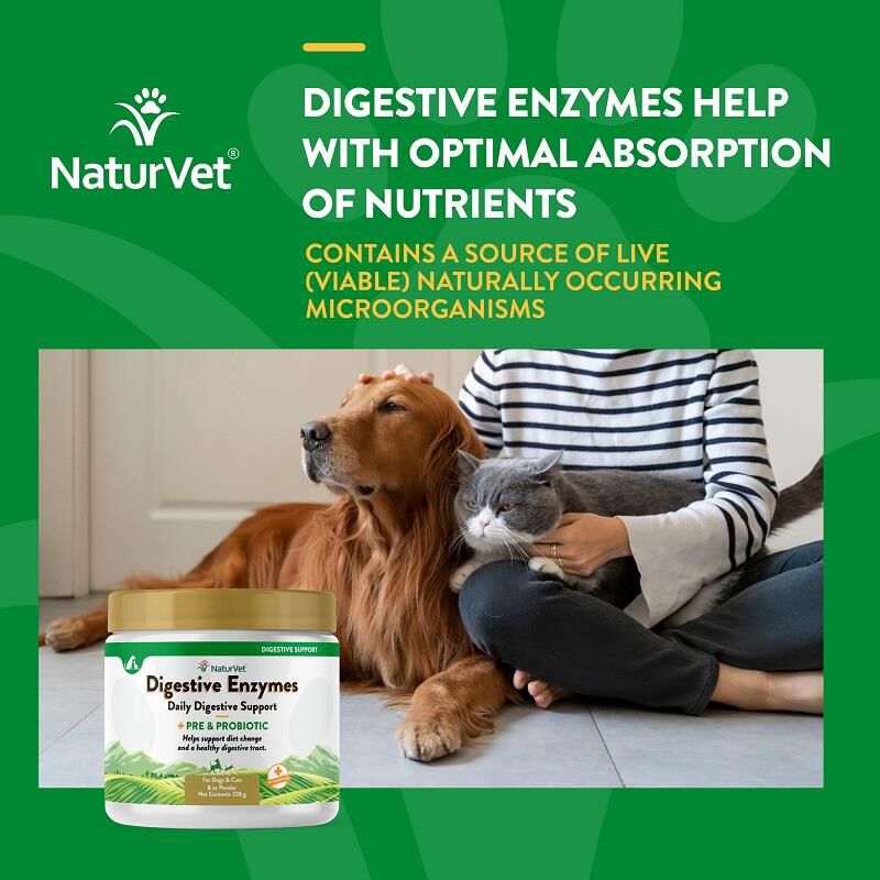 Buy NaturVet Digestive Enzymes Powder for dogs and cats