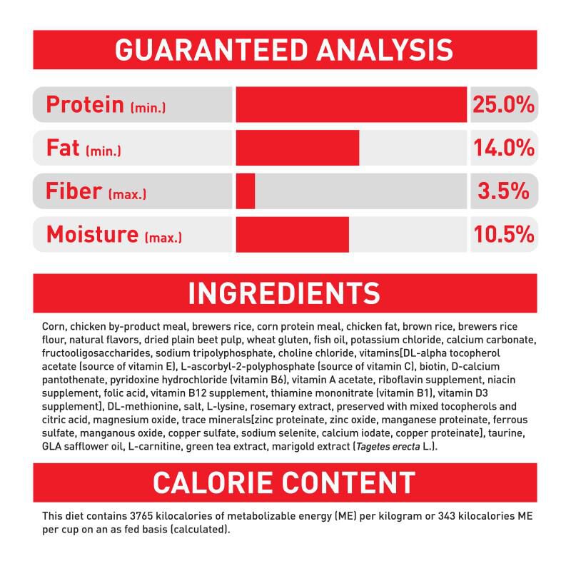 Royal Canin Size Health Nutrition Small Adult 8+ Dry Dog Food