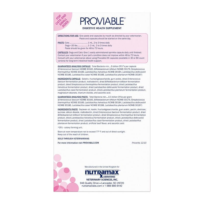 ProviableKP Paste For Dogs & Cats Probiotics Allivet