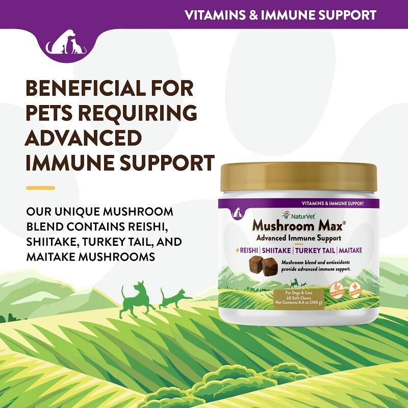 NaturVet Mushroom Max Advanced Immune Support with Turkey Tail Soft Chews for Dogs Cats