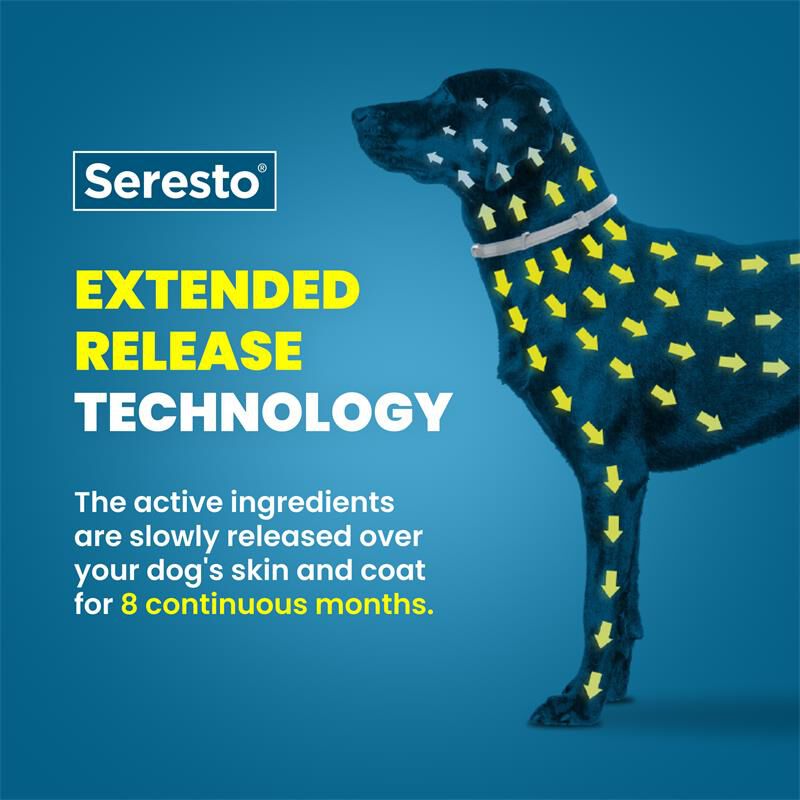 Seresto for Dogs