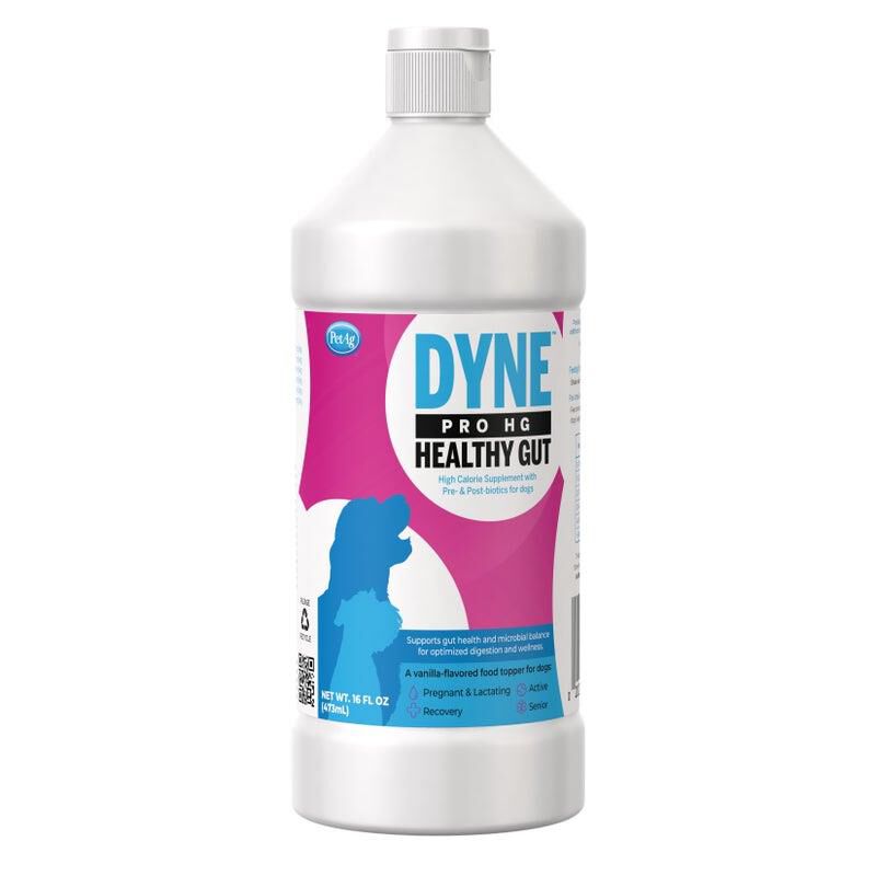 PetAg Dyne Pro HG Healthy Gut Digestive Supplement for Dogs 16 oz