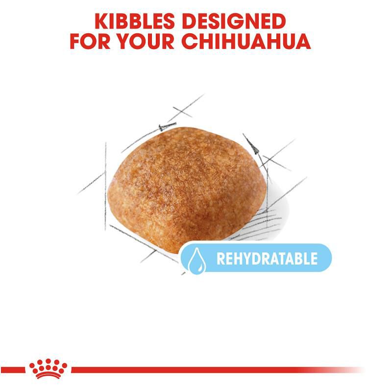 Royal Canin Breed Health Nutrition Chihuahua Adult 8+ Dry Dog Food, 2.5 lb bag