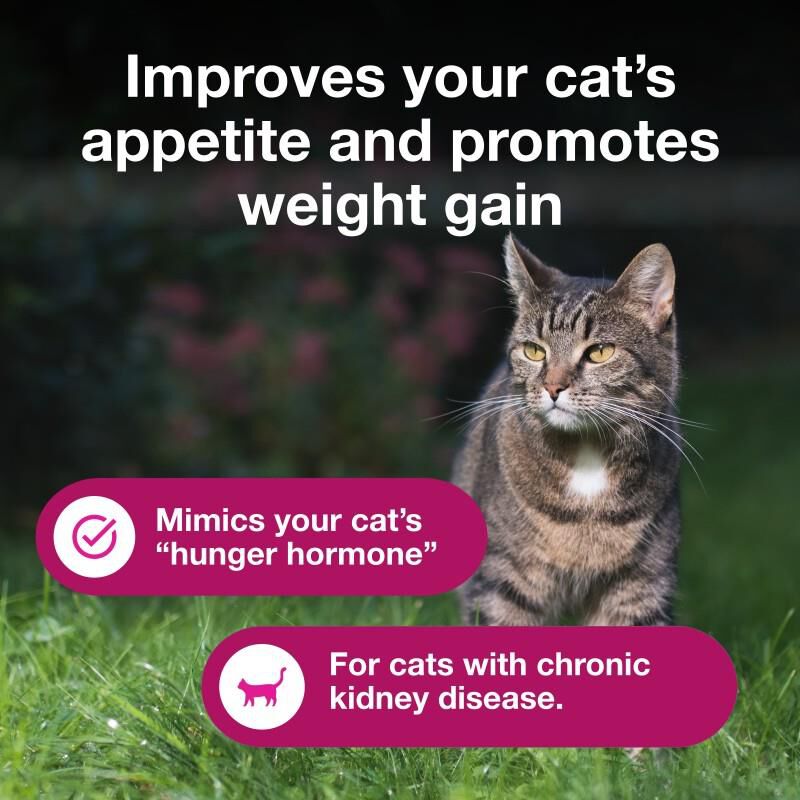 Elura (Capromorelin Oral Solution) 20 mg/mL for Cats, 15 ml Allivet