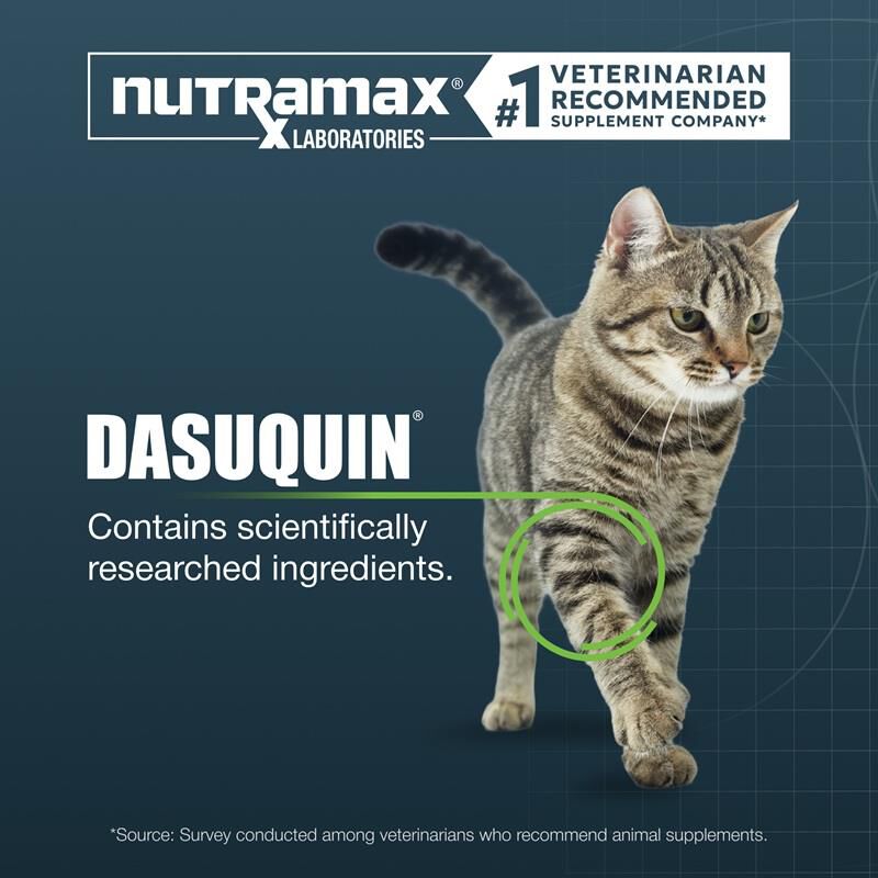 Dasuquin for Cats, 84 Soft Chews