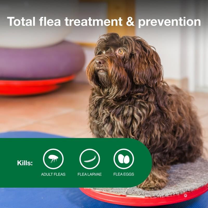 Advantage II Flea Prevention for Small Dogs, 4 monthly treatments